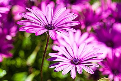 如龙工作室9月20日开直播带来系列最新情报