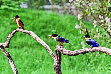 为弥补奖励结算错误问题 《地狱潜者2》本周末提供50%经验加成